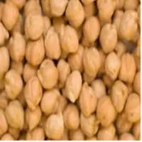 Kabuli Chana
